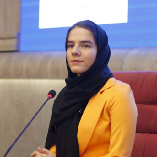 خانم حمیده جعفری مدیر فنی شرکت ره وب